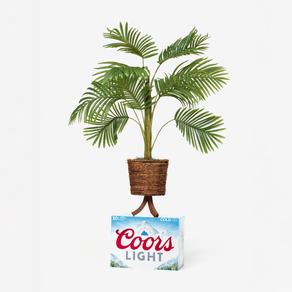 A plant on a brown pot placed on top of a Coors Light beer case against a white background.