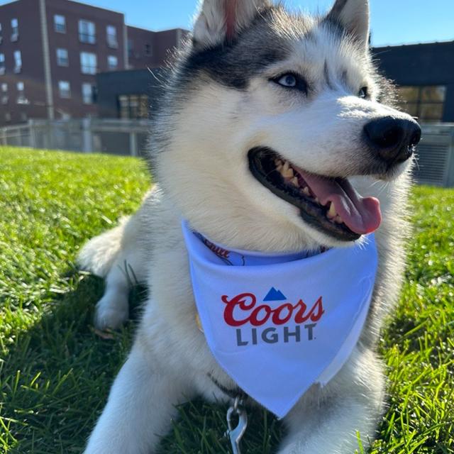 The essential commands: Sit, stay, cheers🍻 #NationalPetDay